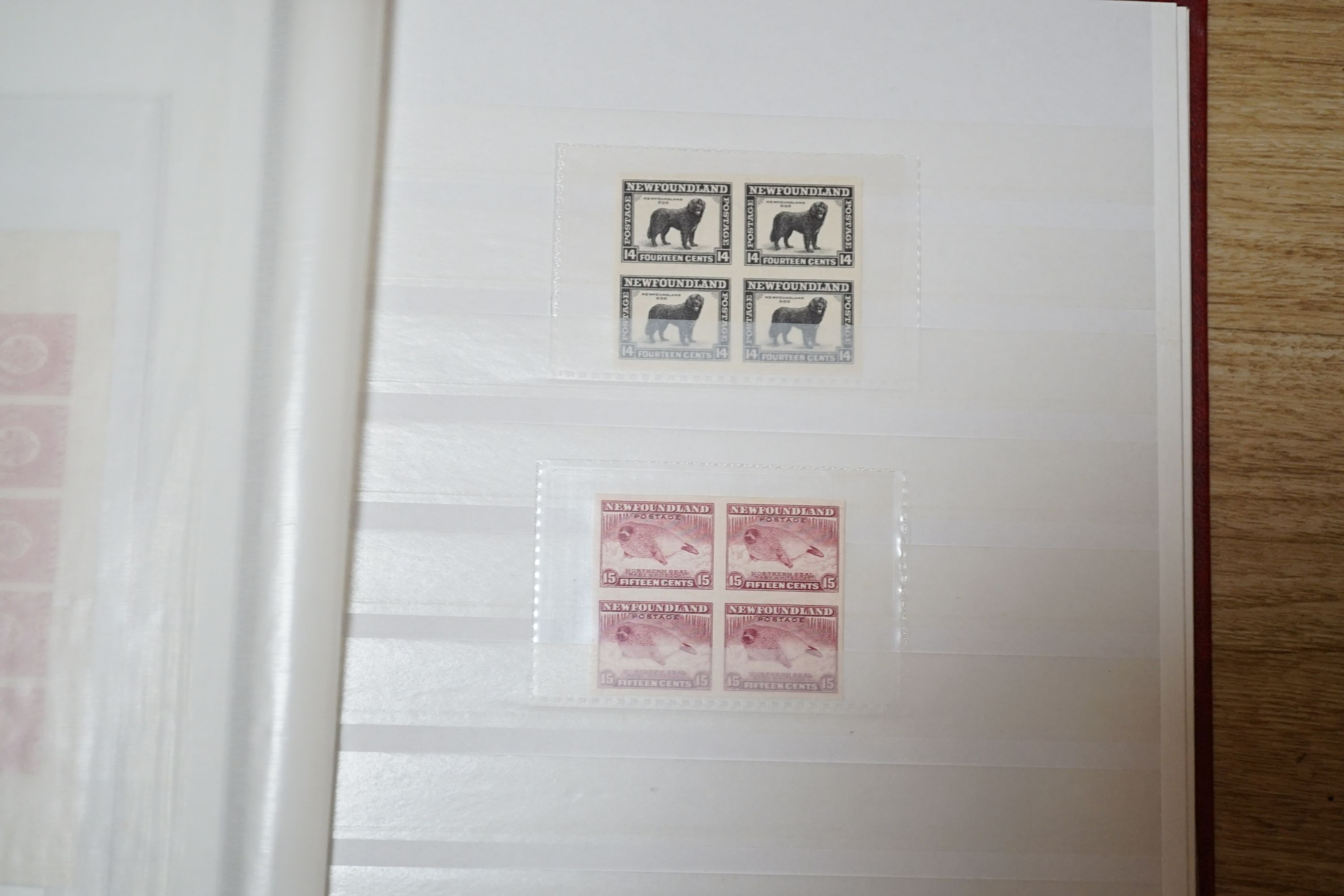British Commonwealth stamps in stock book with Ascension 1922 set overprinted specimen, 1924 set mint, Bahamas, Barbados Britannia Heads, Cyprus 1928 anniversary set- £1 mint, Falkland 1s. 1878 1d claret mint (and certif